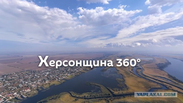 В Херсоне утвердили плату за сбор грибов, ягод и пней в лесах области