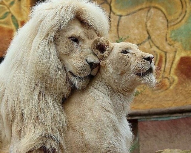 Добрые картинки 28.11.20