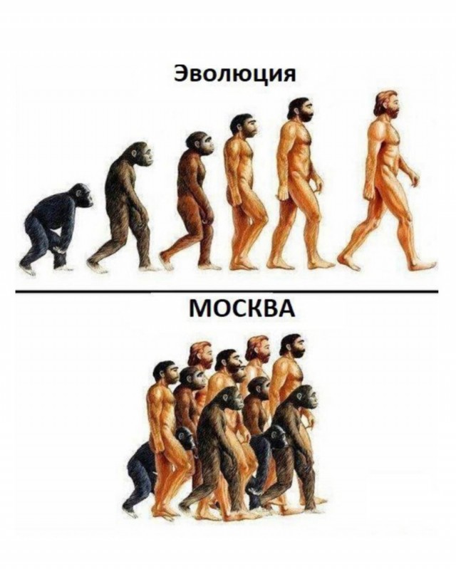 Картинки разные нужны, картинки всякие важны