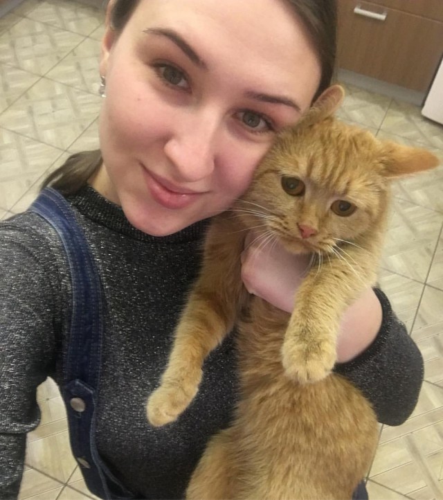 Девушки котовторника