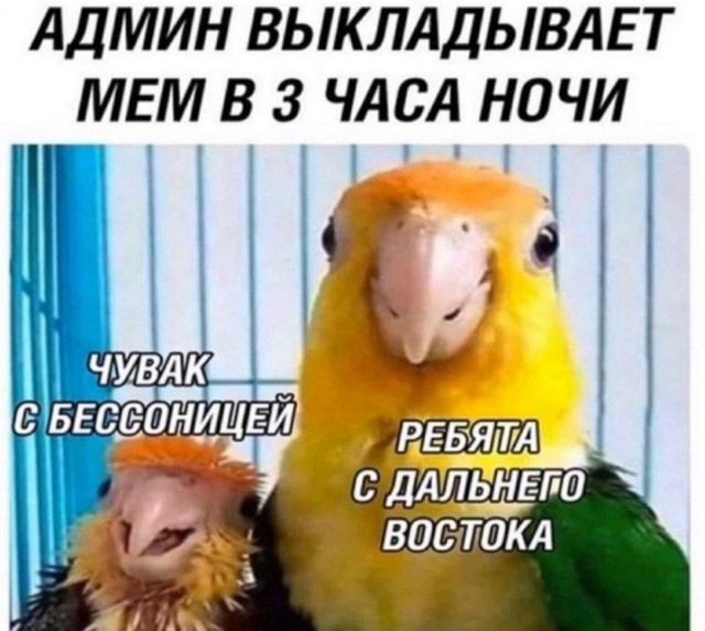 Картинки на вчера