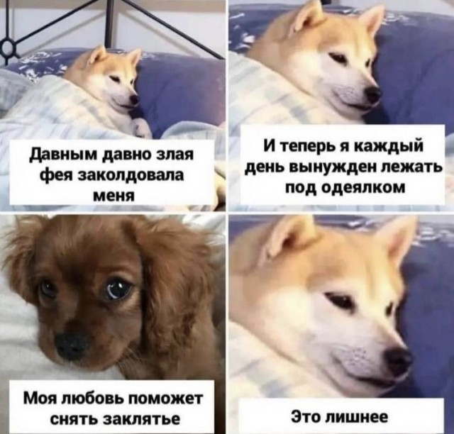 Выборы-дебаты