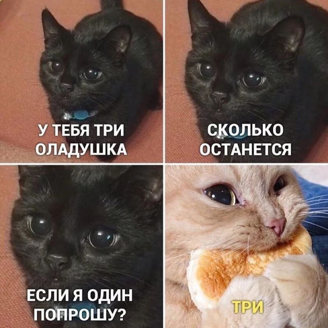 Никогда не зли доброго