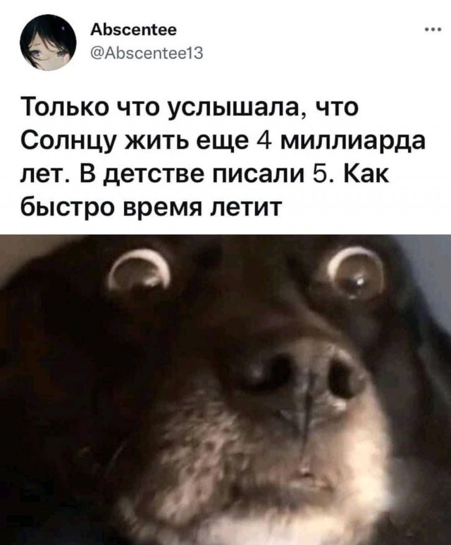Всяческие картинки