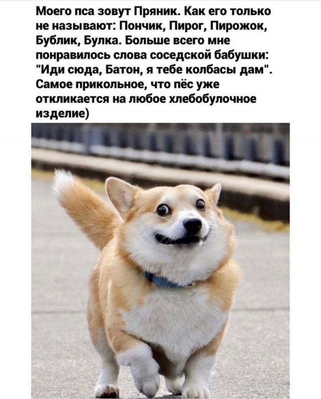 Так себе картинки 17.11.21