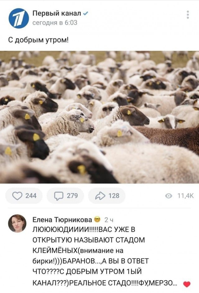 Первое чтение законопроекта о введении QR-кодов в общественных местах