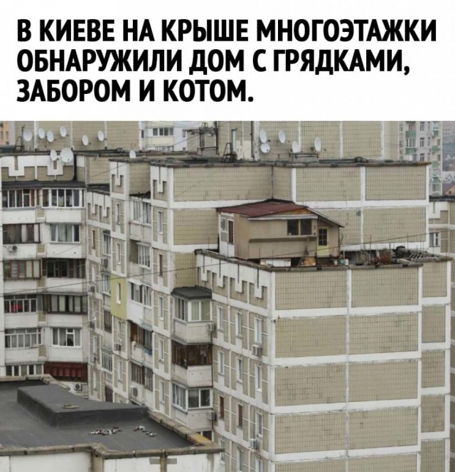 Чуток картинок 31.01.22