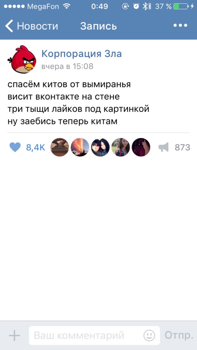 В США города Техаса местный чиновник продемонстрировал поддержку Украине с помощью рэпа