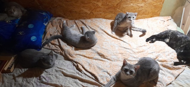Нас пытаются захватить.