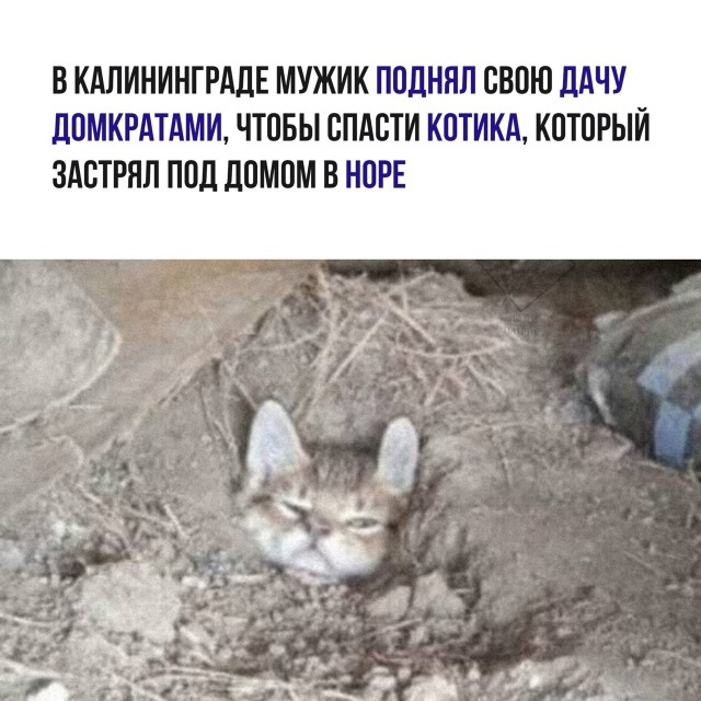 Так себе картинки 07.04.22