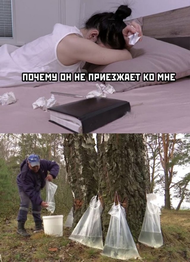 50 оттенков серого. Vol.4  Или самосвал баянов