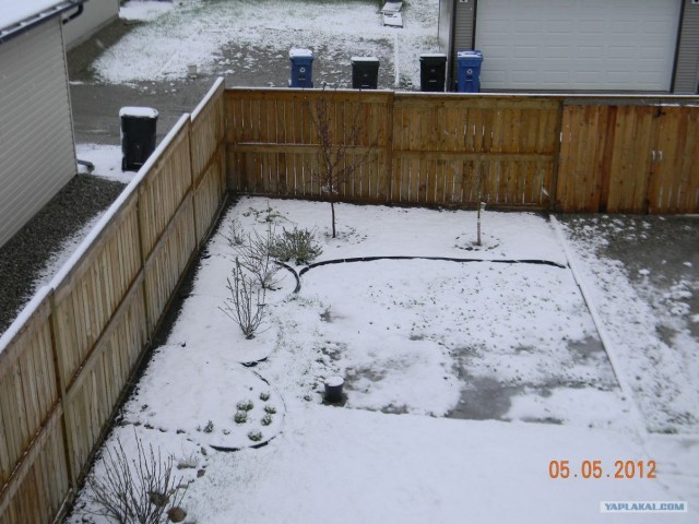 Это Калгари,сынок.