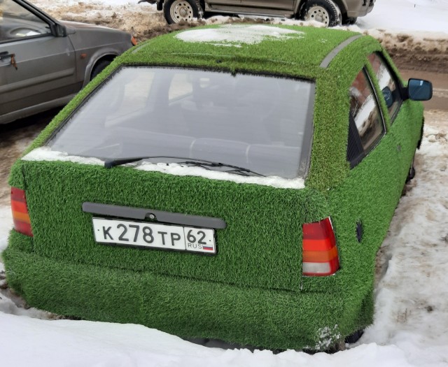 Лохматая Ока