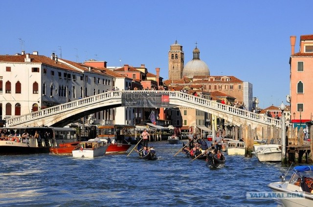 Любовь с первого взгляда