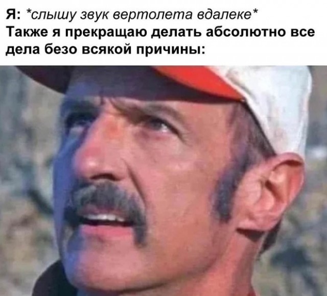 Просто картинки 26.08.22
