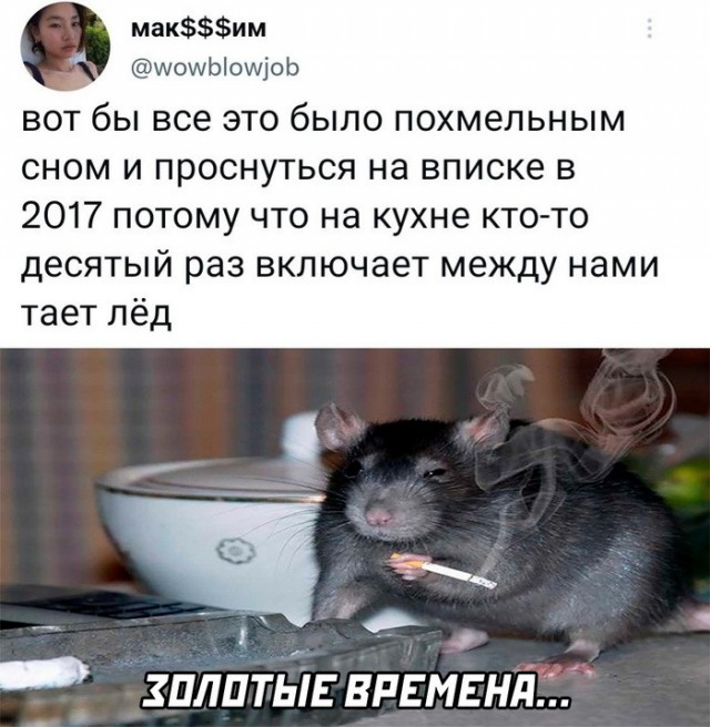 Забавные комментарии из социальных сетей (07.11.22)