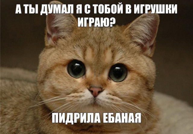Марокко в полуфинале! Португалия повержена