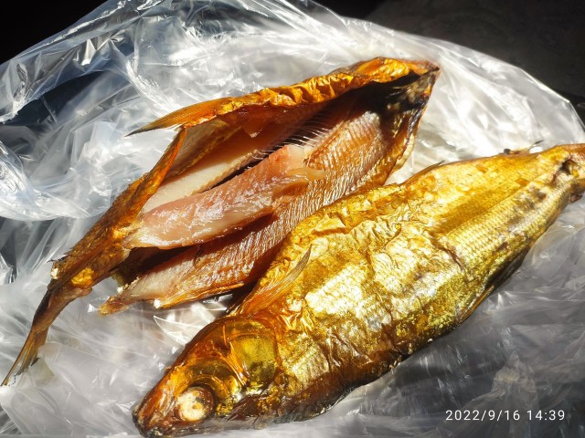 Мой Кавказ. Часть 3