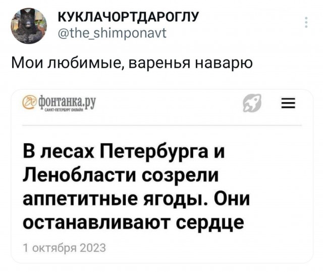 Скриншоты и комментарии из социальных сетей 07.10.23