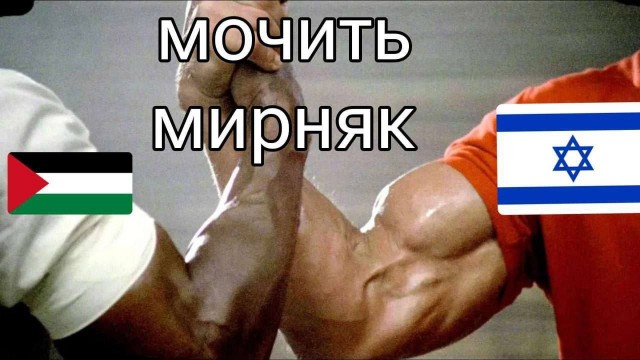 Израильская журналистка забрала слова о 40 обезглавленных младенцах и 200 сожженных телах