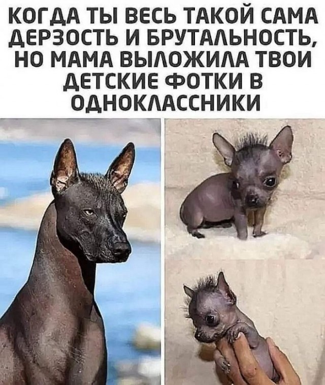 Просто картинки из сети