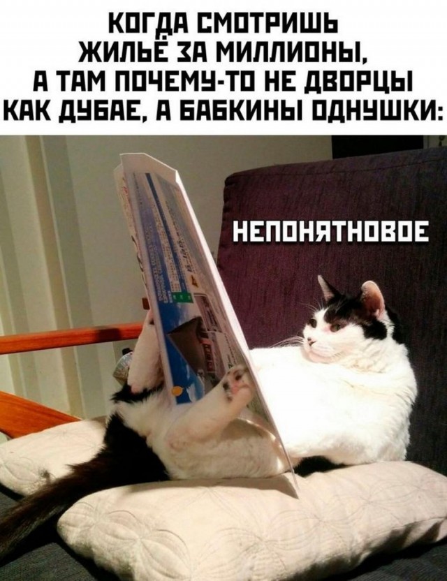 Отряд быстрого деградирования