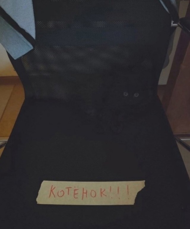 Так себе картинки 20.12.23