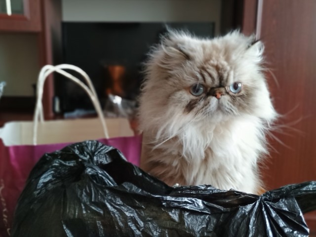 Которабство