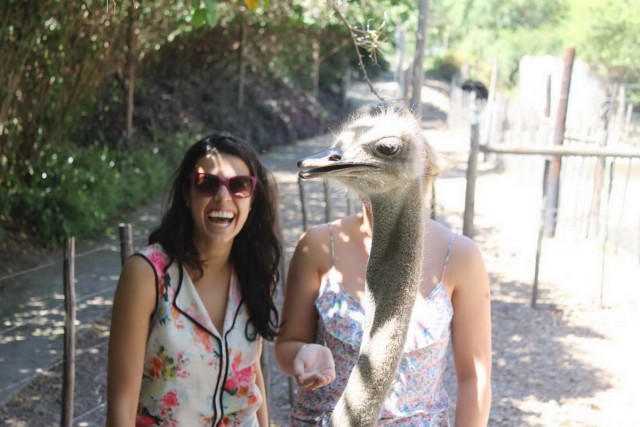 Подборка интересных и веселых картинок 14.02.24