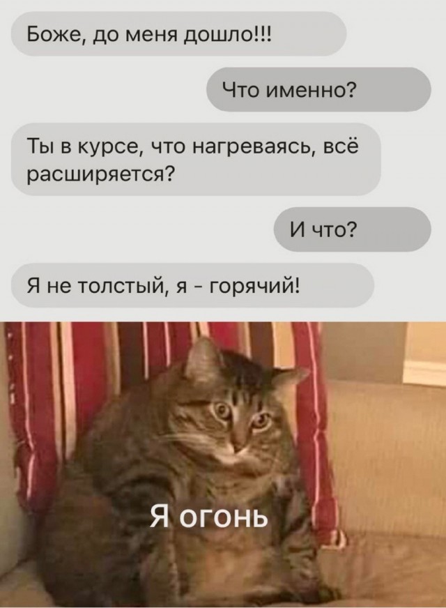 День уважения кошки