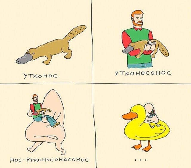 Утконос