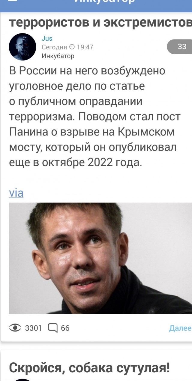 Росфинмониторинг включил Алексея Панина в реестр террористов и экстремистов