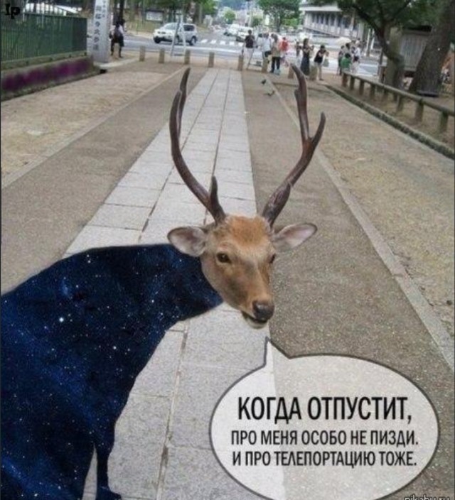 Аномальная зона⁠⁠