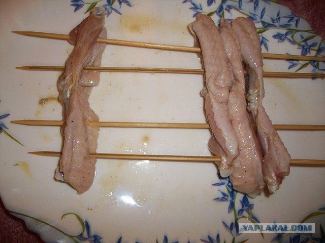 Крылинные курья