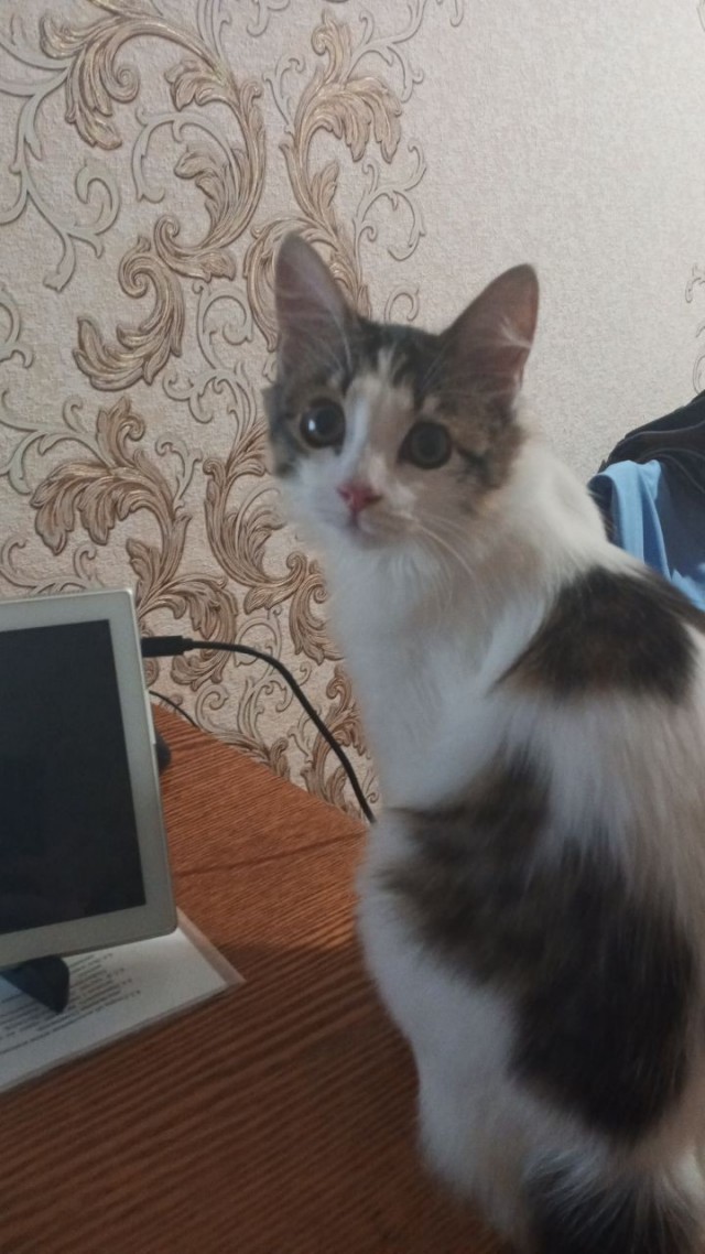 Просыпайся! Вторник же