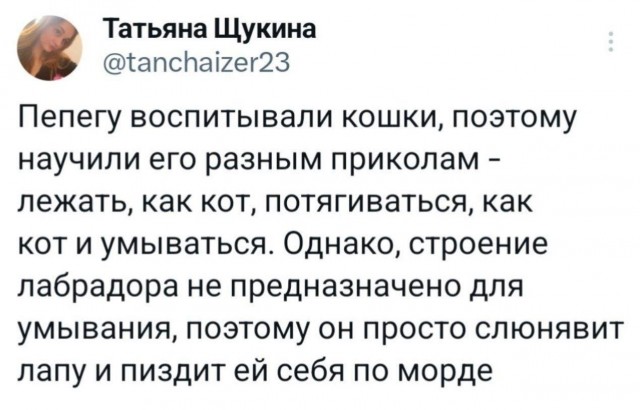 Так себе картинки 02.09.24