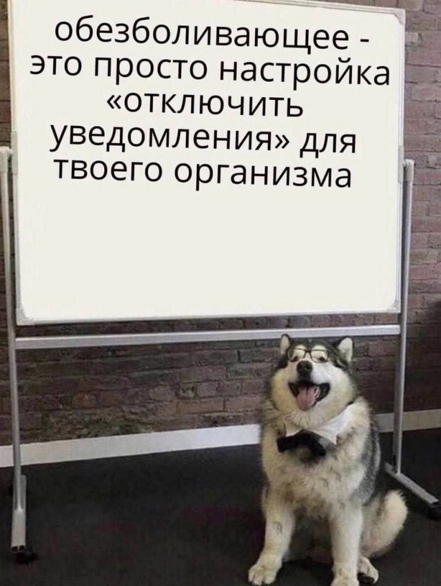 Завалялось тут случайно немного забавных картинок