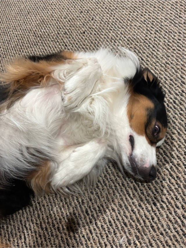 Третий круг