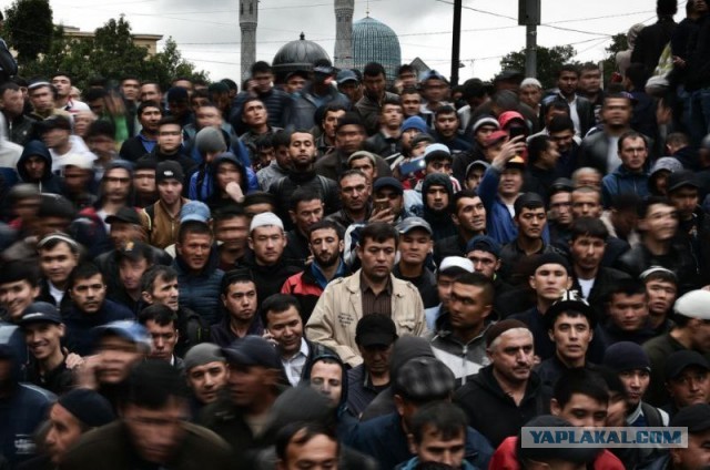 Мигрантам хотят запретить селиться рядом со школами и детскими садами.