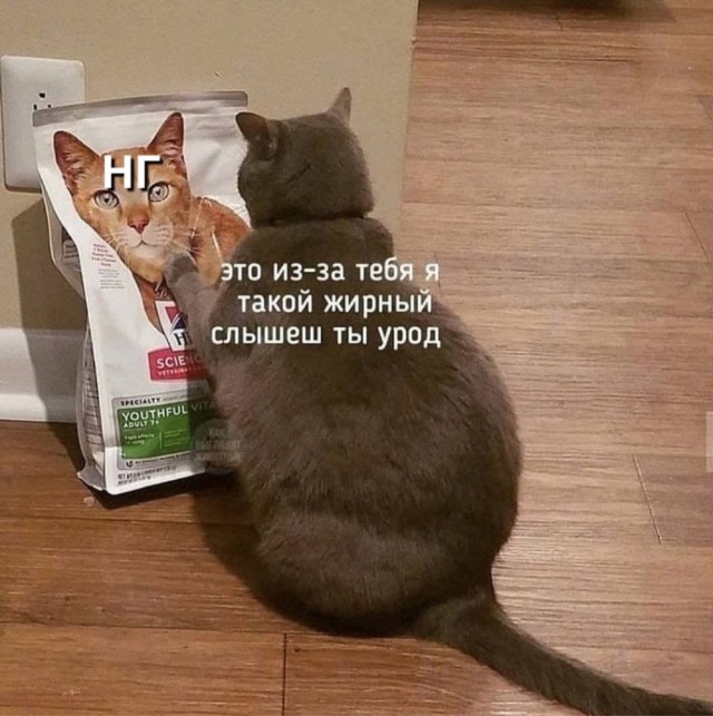 Картинки разные с надписями и без