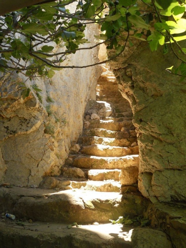 Прикольные и просто красивые картинки 04.04.2025