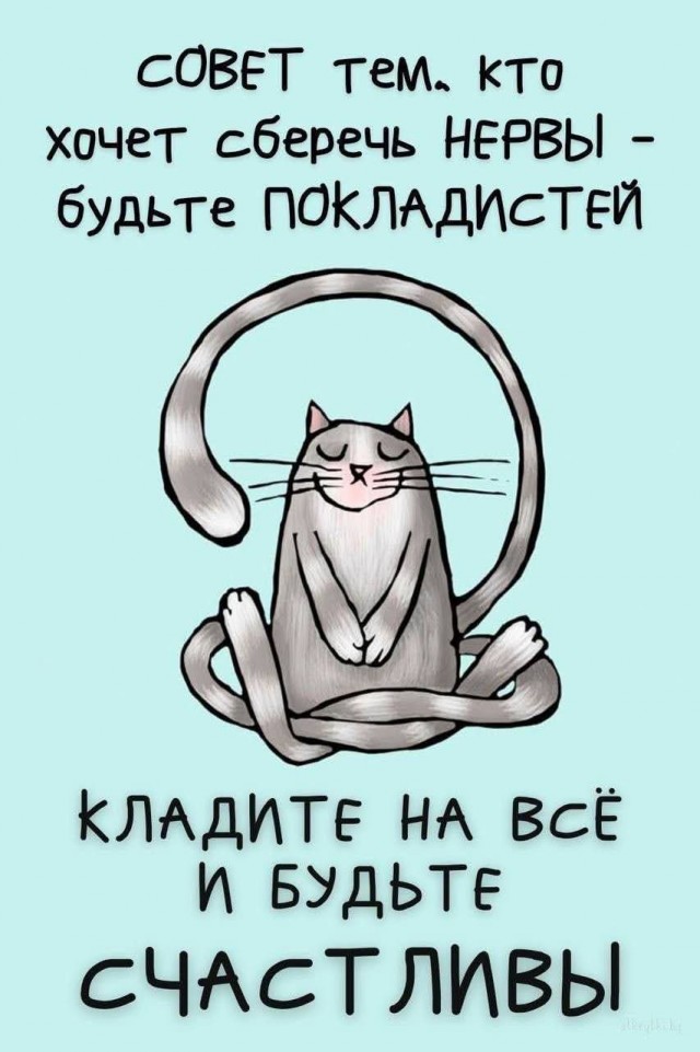 К котовторнику.