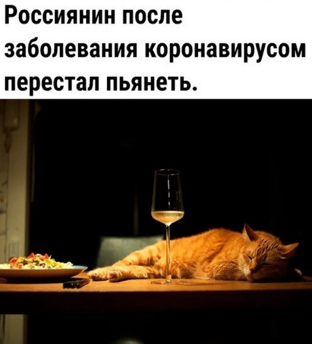 Так себе картинки 16.05.25
