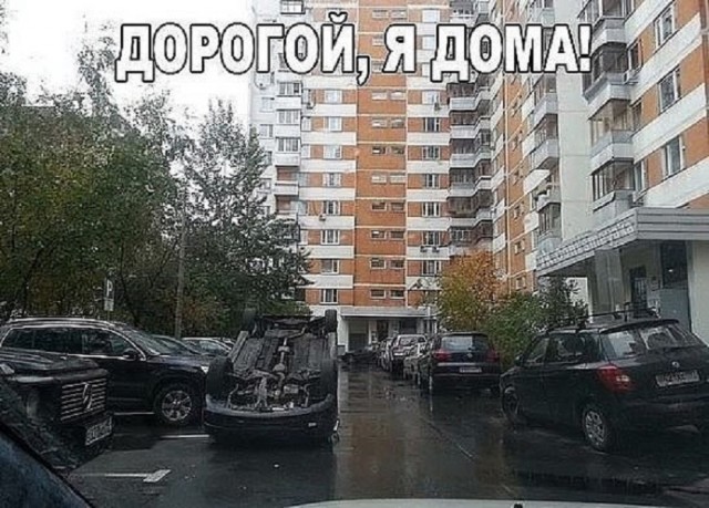 Так себе картинки 30.06.25