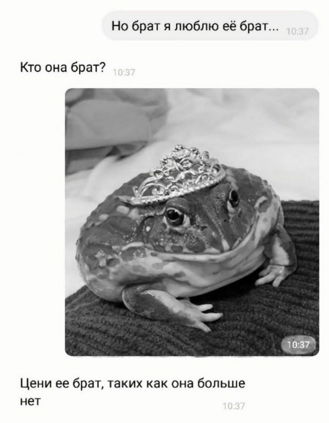Веселое настроение в картинках (22.10.2025)