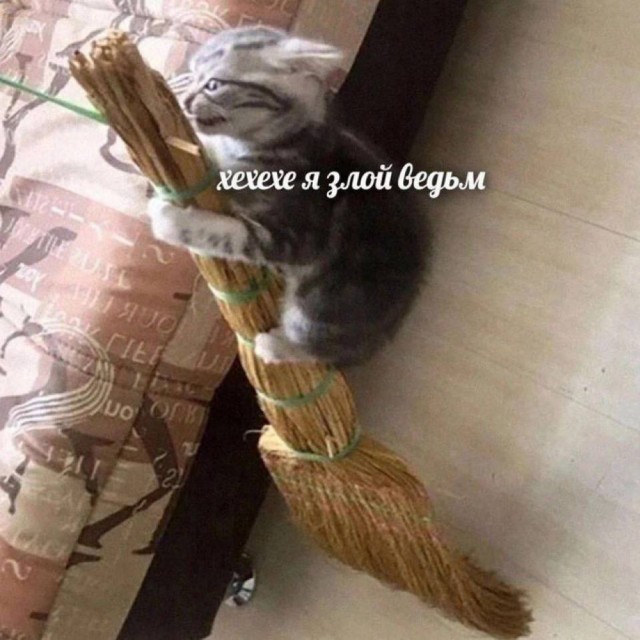 Дегрономикон 7