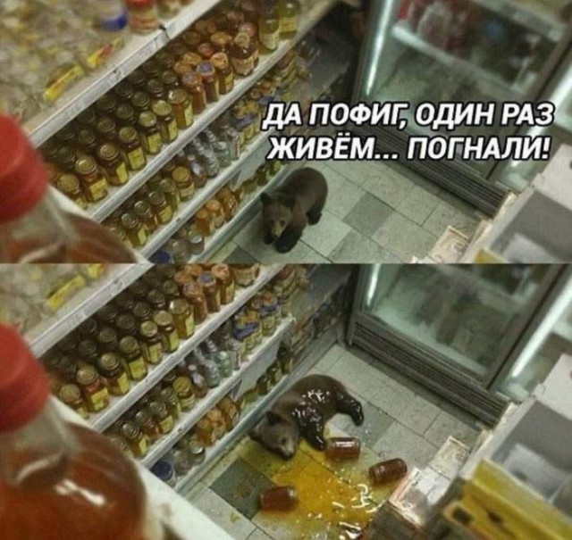 Картинки для деградации 125 (разной степени свежести)