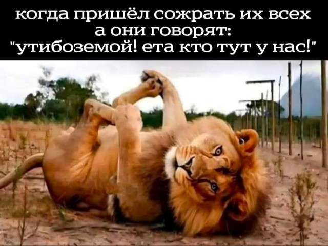 Маленькая пятница 25.02