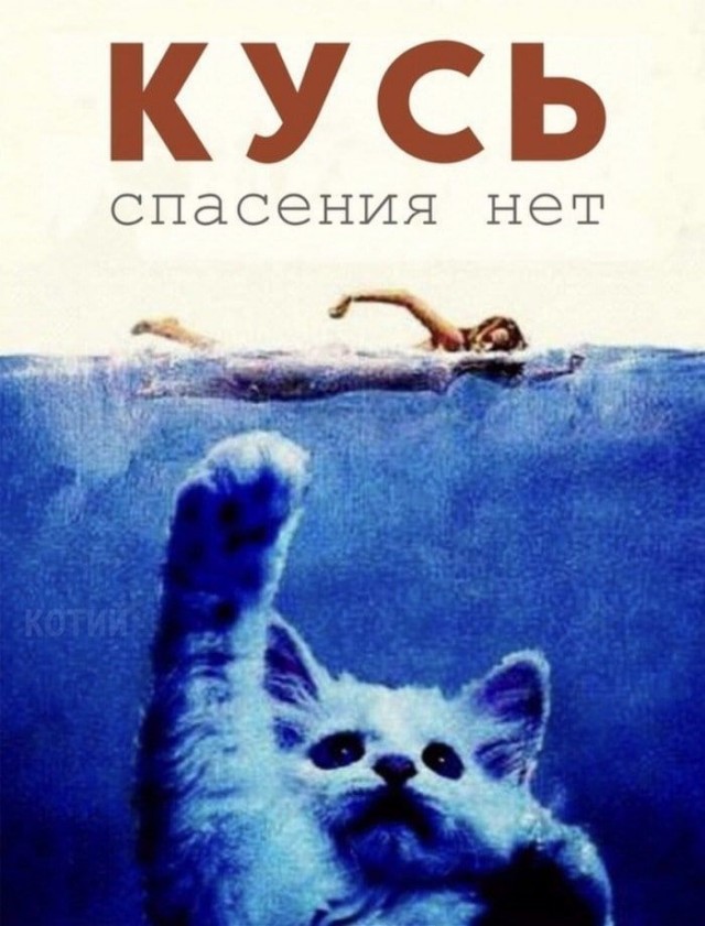 Сейчас укушу и успокоюсь