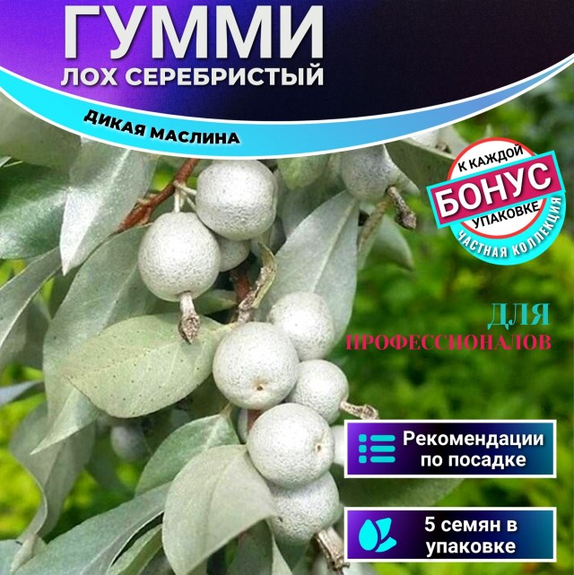 Кто ты сегодня?